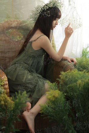 链式进化