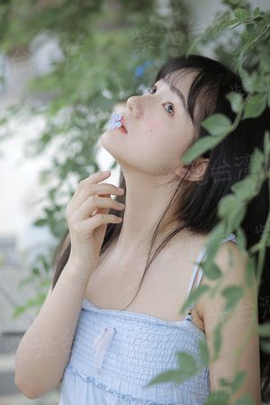 蜂鸟计划
