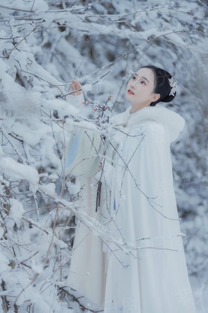 明星女儿杀手爹