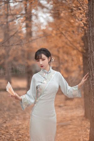 （综同人）（综）天意