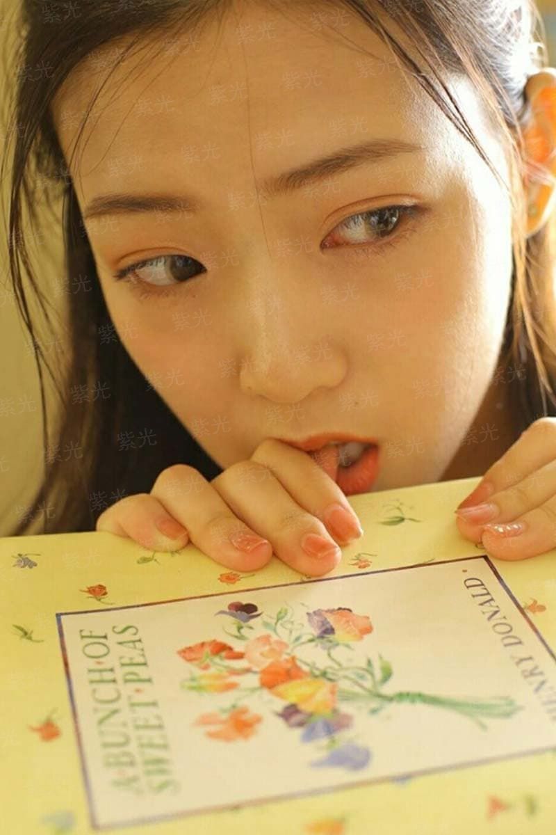 塞拉的领主