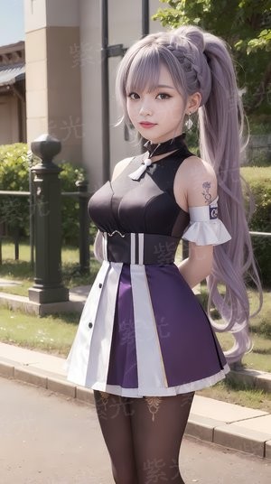 锦辰阑珊