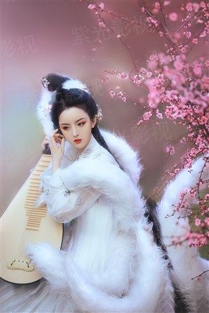 俟千年盼卿归