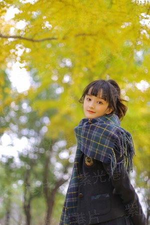 重生之弃妇归来